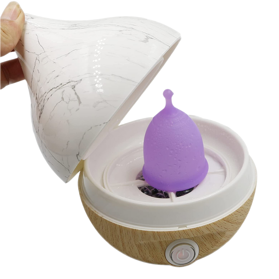 OurLadies Steam Cleaner