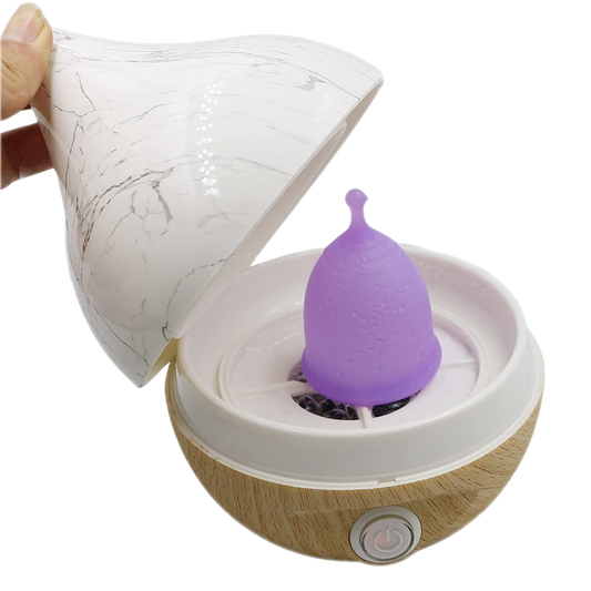 OurLadies Steam Cleaner